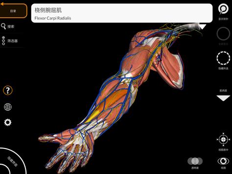 解剖学 - 三维图谱 截图 17