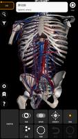 解剖学 - 三维图谱 截图 1