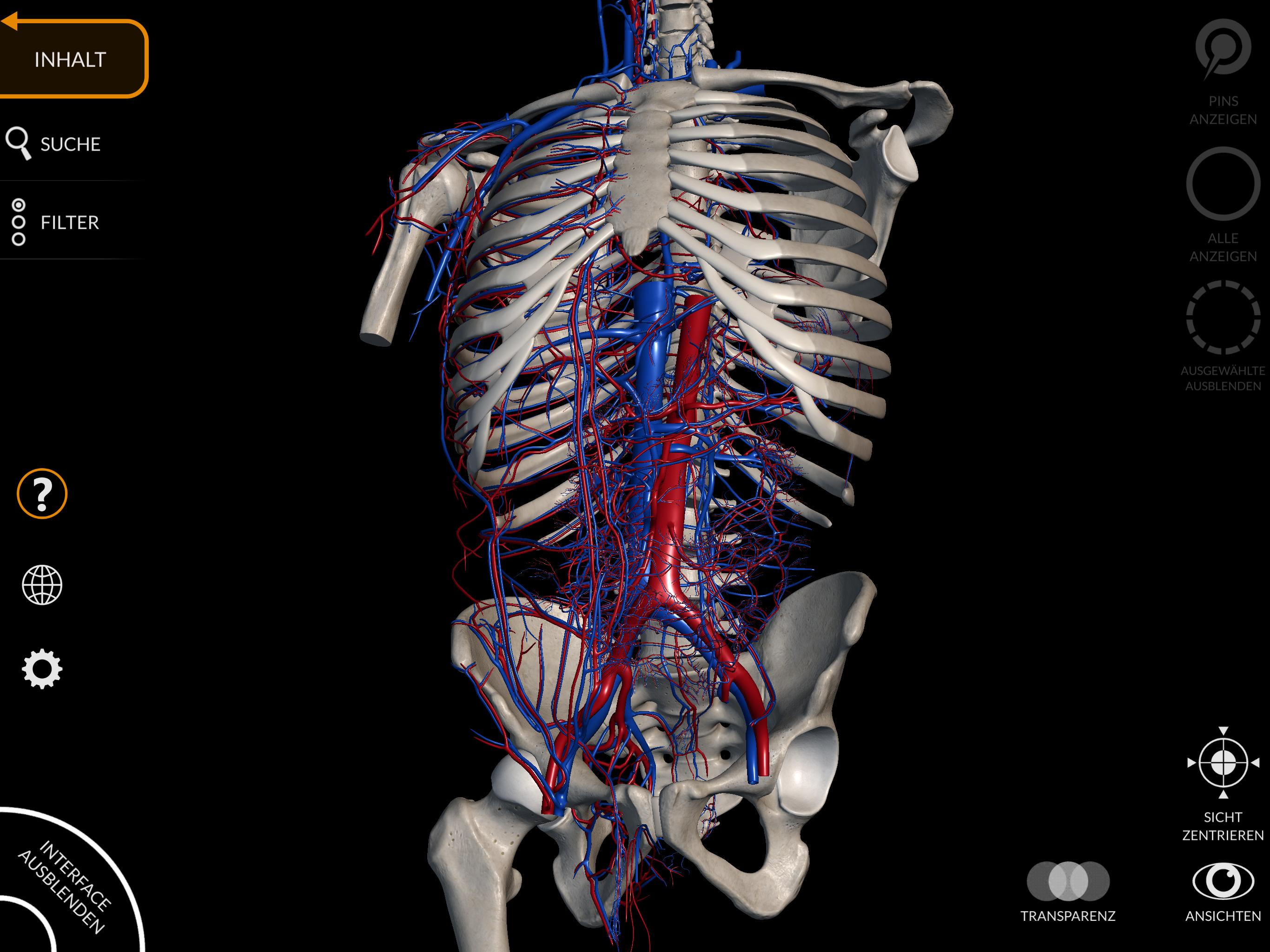 Anatomie 3d Atlas Fur Android Apk Herunterladen