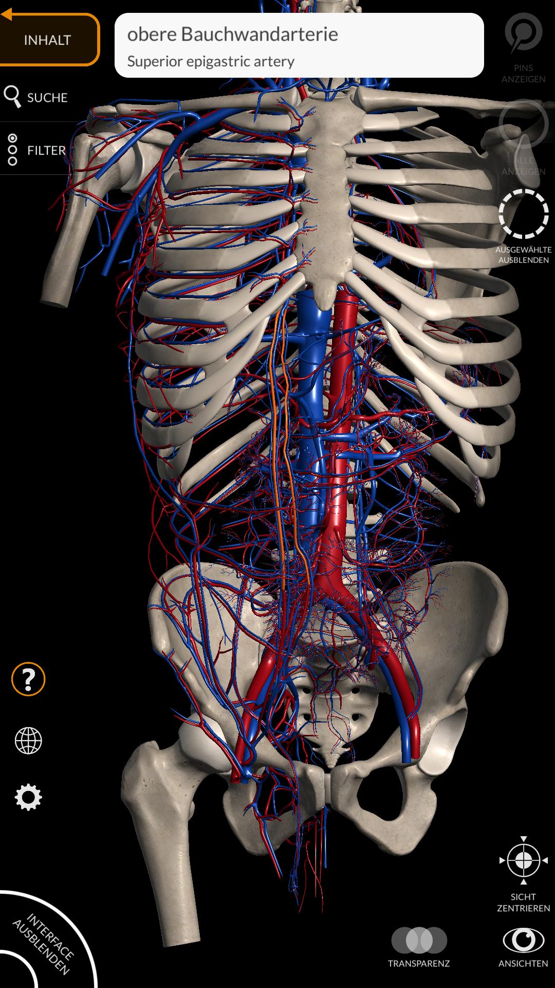 Anatomie 3d Atlas Fur Android Apk Herunterladen
