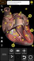 Anatomie - 3D Atlas Screenshot 2