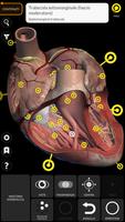 2 Schermata Anatomia - Atlante 3D