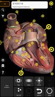 해부학 - 3D 아틀라스 스크린샷 2