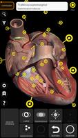 Anatomia - Atlas 3D imagem de tela 2