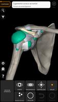 Anatomia - Atlas 3D imagem de tela 3