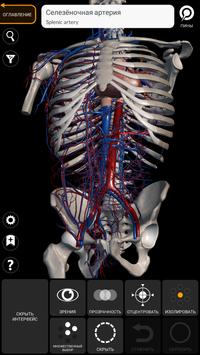 Анатомия - 3D Атлас скриншот 2