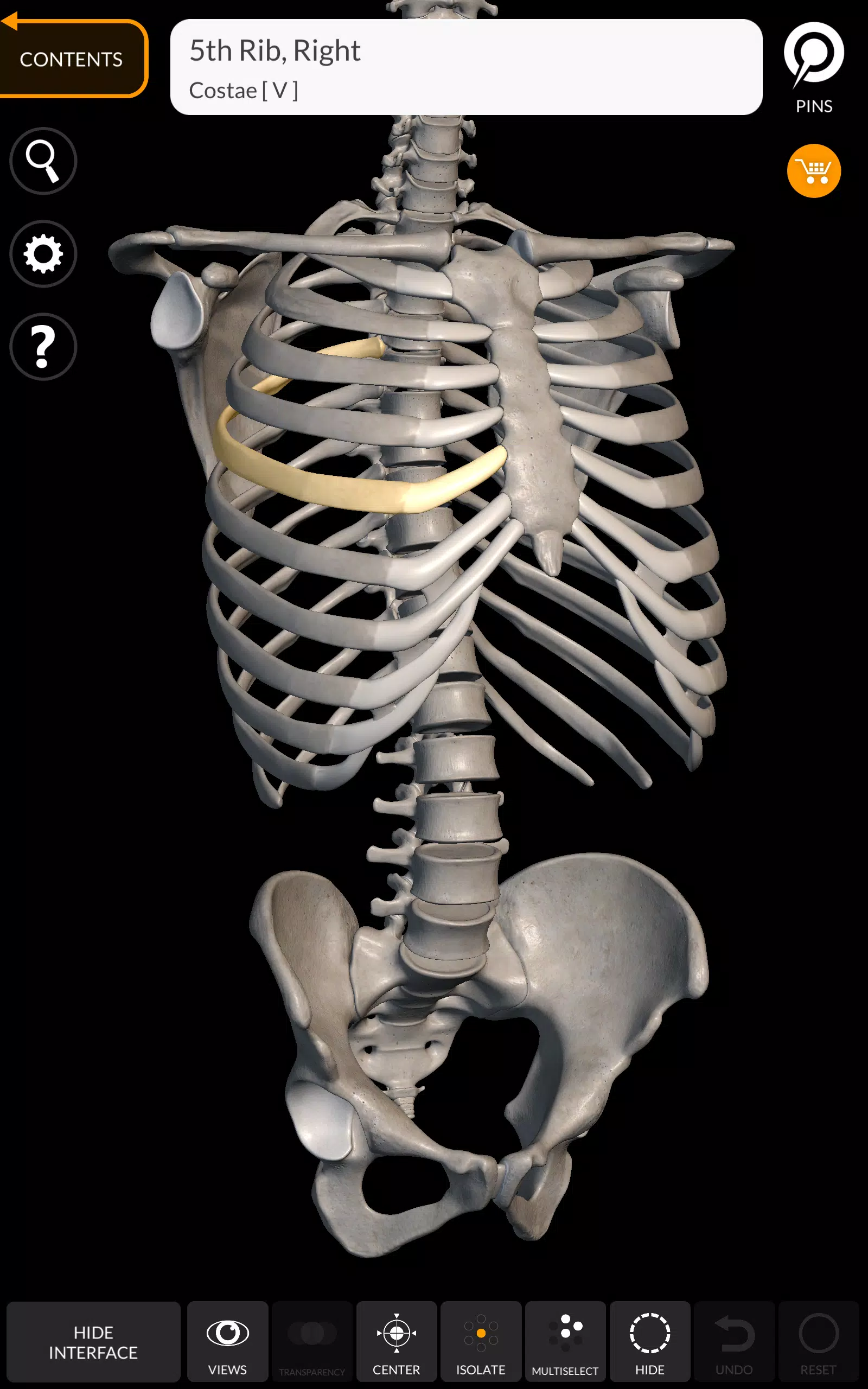 Tải Xuống Apk Skeleton | 3D Anatomy Cho Android