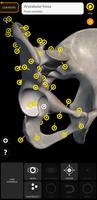 Skeleton | 3D Anatomy Ekran Görüntüsü 1