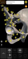 برنامه‌نما Skeleton | 3D Anatomy عکس از صفحه