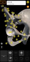 骨格 スクリーンショット 1