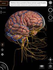 Anatomy 3D Atlas Screenshot 15