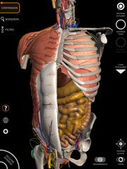 Anatomy 3D Atlas captura de pantalla 16