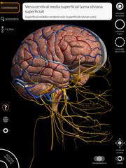 Anatomy 3D Atlas captura de pantalla 13