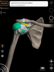 Anatomy 3D Atlas capture d'écran 14