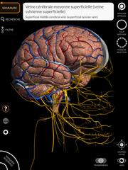 Anatomy 3D Atlas capture d'écran 15