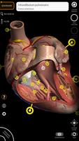 Anatomie - Atlas 3D capture d'écran 1