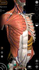 Anatomy 3D Atlas capture d'écran 5