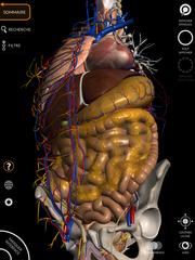 Anatomy 3D Atlas capture d'écran 9