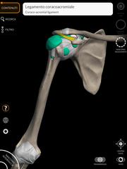 11 Schermata Anatomy 3D Atlas