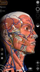 2 Schermata Anatomy 3D Atlas