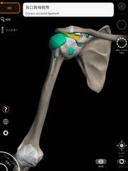 Anatomy 3D Atlas スクリーンショット 14