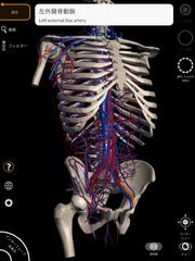 Anatomy 3D Atlas スクリーンショット 10