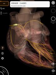 Anatomy 3D Atlas スクリーンショット 13
