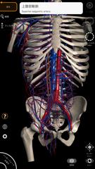 Anatomy 3D Atlas スクリーンショット 1