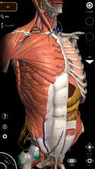 Anatomy 3D Atlas スクリーンショット 6