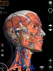 Anatomy 3D Atlas スクリーンショット 8