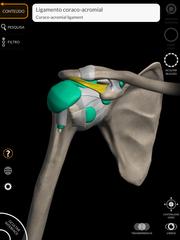 Anatomy 3D Atlas imagem de tela 14