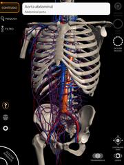 Anatomy 3D Atlas imagem de tela 11