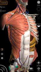 Anatomy 3D Atlas скриншот 5