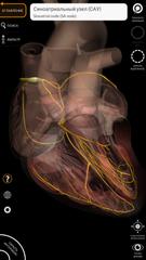 Anatomy 3D Atlas скриншот 7