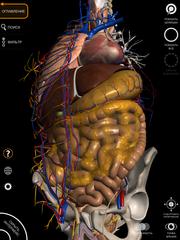 Anatomy 3D Atlas скриншот 9