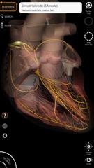 Anatomy 3D Atlas 스크린샷 14