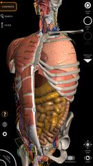 Anatomy 3D Atlas Ekran Görüntüsü 15