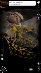 برنامه‌نما Anatomy 3D Atlas عکس از صفحه