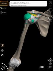 Anatomy 3D Atlas اسکرین شاٹ 12