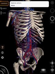 Anatomy 3D Atlas تصوير الشاشة 13