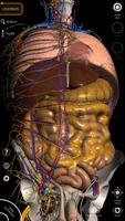 برنامه‌نما Anatomy 3D - Catfish Studio عکس از صفحه