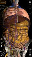 Anatomy 3D Atlas ảnh chụp màn hình 1