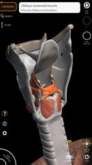 Anatomy 3D Atlas اسکرین شاٹ 22