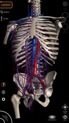 Anatomy 3D Atlas স্ক্রিনশট 4