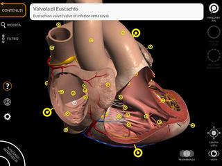 Anatomy 3D Atlas اسکرین شاٹ 8