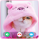 Cat Fake Video Call Cat Game