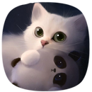 Cat Wallpapers : +10000 Kittens Cute & Kawaii  🐱 APK
