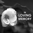 In Loving Memory Frames & Quotes ikona