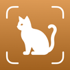 Imbas Baka Kucing - Catium APK