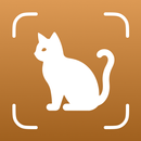 Cat Breed Identifier - Catium APK